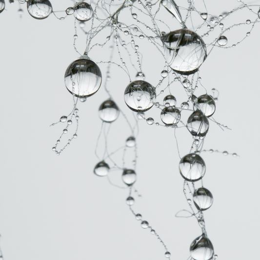 Networking Lessons From Experience